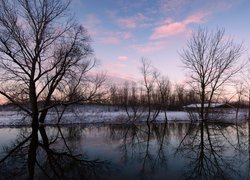 Wiata i bezlistne drzewa nad rzeką