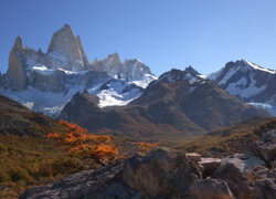 Jesień, Góry, Andy, Skały, Kamienie, Drzewo, Patagonia, Argentyna