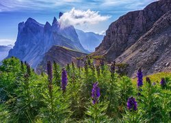 Widok na górę Seceda we włoskich Dolomitach