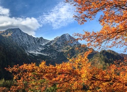 Widok na góry spoza jesiennych drzew