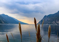 Jezioro, Lake Garda, Góry, Trawa, Włochy