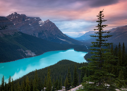 Kanada, Park Narodowy Banff, Góry Canadian Rockies, Jezioro Peyto Lake, Las, Chmury