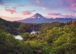 Widok na Mount Taranaki w Parku Narodowym Egmont w Nowej Zelandii