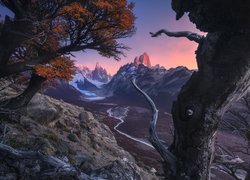 Argentyna, Patagonia, Park Narodowy Los Glaciares, Jesień, Góry, Szczyt Fitz Roy, Drzewa, Rzeka Rio de las Vueltas