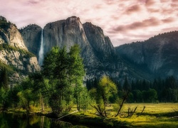 Stany Zjednoczone, Stan Kalifornia, Park Narodowy Yosemite, Góry Sierra Nevada, Wodospad Yosemite, Drzewa