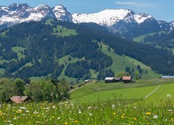 Widok z łąki na domy w alpejskiej dolinie