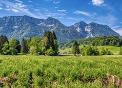 Góry, Bayerische Voralpen, Drzewa, Trawa, Domy, Inzell, Bawaria, Niemcy