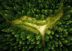 Widok z lotu ptaka na drogi w lesie
