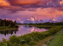 Stany Zjednoczone, Stan Wyoming, Park Narodowy Grand Teton, Rzeka Snake River, Góry, Góra Mount Moran, Drzewa