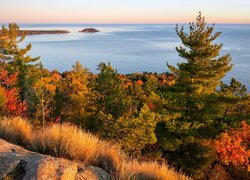 Widok znad jesiennych drzew na jezioro Superior Lake