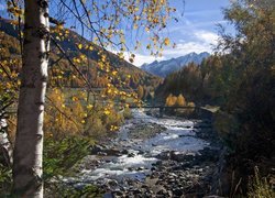 Jesień, Rzeka, Most, Drzewa, Góry, Park Narodowy Gran Paradiso, Dolina Aosty, Włochy