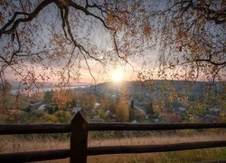 Widok zza jesiennych gałęzi brzozy na miasteczko Plos