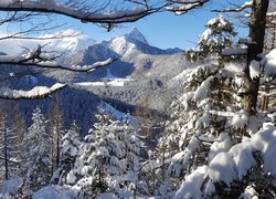 Góry, Drzewa, Las, Śnieg, Zima
