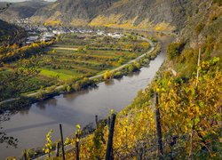 Rzeka Mozela, Wzgórza, Winnice, Jesień, Niemcy