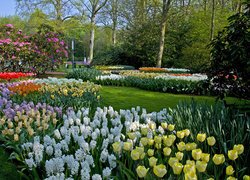 Wiosna w holenderskim ogrodzie Keukenhof