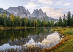 Włochy, Dolomity, Jezioro Lago di Antorno, Góry, Las, Drzewa, Trawa