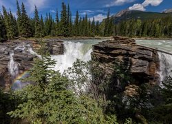 Wodospad Athabasca w Parku Narodowym Jasper w Kanadzie
