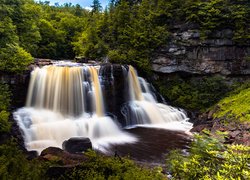 Wodospad Blackwater, Las, Drzewa, Skały, Rośliny, Park stanowy Blackwater Falls, Wirginia Zachodnia, Stany Zjednoczone
