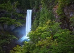 Las, Skały, Wodospad, Brandywine Falls, Drzewa, Kolumbia Brytyjska, Kanada