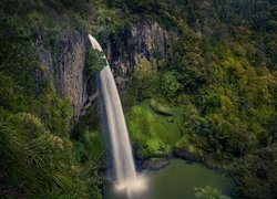Nowa Zelandia, Region Waikato, Wodospad, Bridal Veil Falls, Rzeka, Pakoka River, Skały, Las, Drzewa