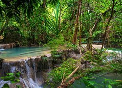 Las, Wodospad Erawan waterfall, Drzewa, Krzewy, Park Narodowy Erawan, Prowincja Kanchanaburi, Tajlandia