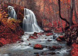 Wodospad i rwąca rzeka w jesiennym lesie