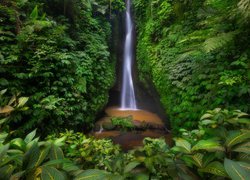 Wodospad, Leke Leke Waterfall, Las, Drzewa, Liście, Rośliny, Bali, Indonezja