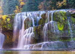 Wodospad, Lower Lewis River Falls, Skała, Rzeka, Drzewa, Jesień, Stan Waszyngton, Stany Zjednoczone