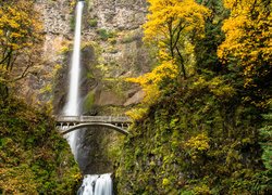 Wodospad, Multnomah Falls, Most, Drzewa, Las, Jesień, Stan Oregon, Stany Zjednoczone