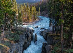 Las, Drzewa, Sosny, Skały, Wodospad, Park Narodowy Jasper, Rzeka, Athabasca, Kanada