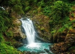 Wodospad Neidong Falls, Omszałe, Skały, Krzewy, Drzewa, Roślinność, Dzielnica Wulai, Nowe Tajpej, Tajwan