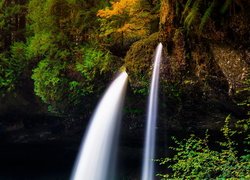 Wodospad North Falls, Roślinność, Skały, Stan Oregon, Stany Zjednoczone