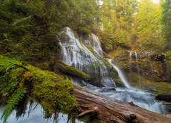 Wodospad Panther Creek Falls w Waszyngtonie