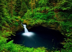 Wodospad Punch Bowl Falls w Oregonie wśród roślinności