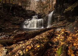 Wodospad Ricketts Falls na skałach i żółte liście w jesiennym lesie