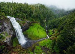 Wodospad Salt Creek Falls w Oregonie