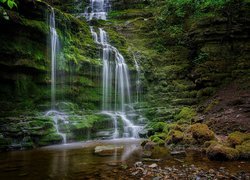 Wodospad, Scaleber Force Falls, Park Narodowy Yorkshire Dales, Omszałe, Skały, Kamienie, Rośliny, Hrabstwo North Yorkshire, Anglia