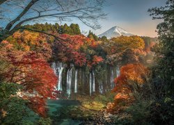 Jesień, Liście, Drzewa, Gałęzie, Wieczór, Wodospad Shiraito, Park Narodowy Fudżi-Hakone-Izu, Japonia