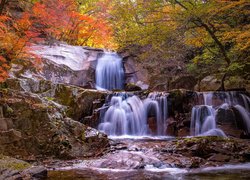 Wodospad spadający po skale w jesiennym lesie