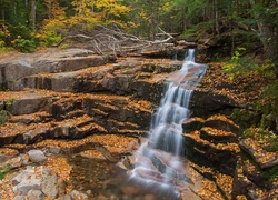 Wodospad spływający po kamieniach pokrytych jesiennymi liśćmi