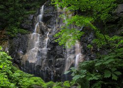 Wodospad spływający po skałach w lesie