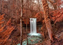 Wodospad spływający po skale w lesie jesienną porą