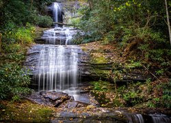 Stany Zjednoczone, Stan Georgia, Wodospad Upper DeSoto Falls, Rzeka Frogtown Creek, Las, Drzewa  Drzewo
