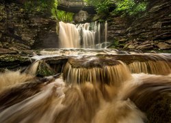 Stany Zjednoczone, Wirginia Zachodnia, Park stanowy Blackwater Falls, Wodospad, Skały