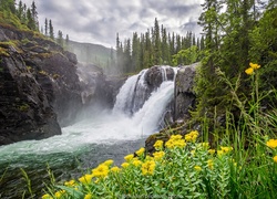 Wodospad wpadający do rzeki porośniętej kwiatami i roślinnością