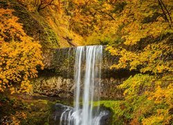 Stany Zjednoczone, Oregon, Park Stanowy Silver Falls, Drzewa, Jesień, Roślinność, Wodospad