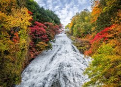 Wodospad Yudaki w japońskim Parku Narodowym Nikko jesienią