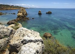 Portugalia, Region Algarve, Wybrzeże, Morze, Skały, Roślinność