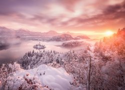 Wyspa Blejski Otok na jeziorze Bled w Słowenii zimą