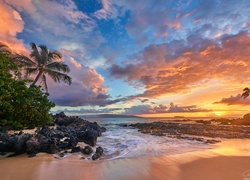 Hawaje, Wyspa Maui, Morze, Zachód słońca, Palmy, Plaża